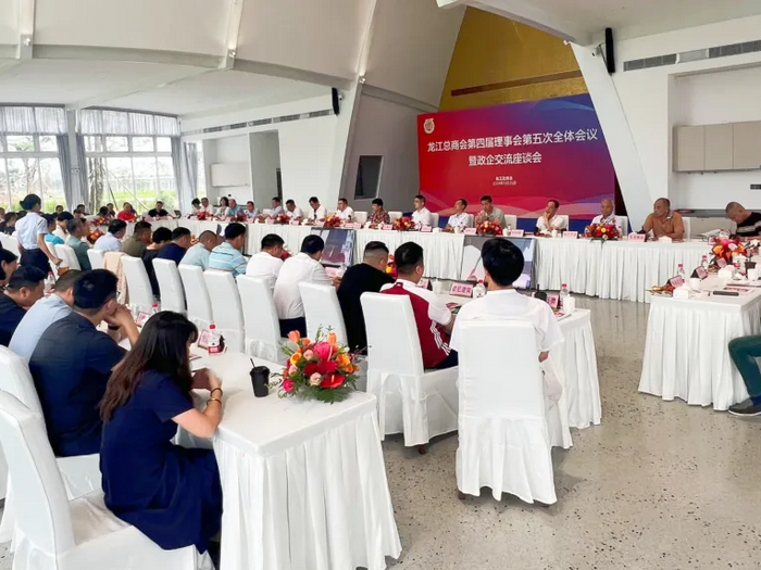 龍江：政企聯(lián)動，推動新一輪經濟大發(fā)展