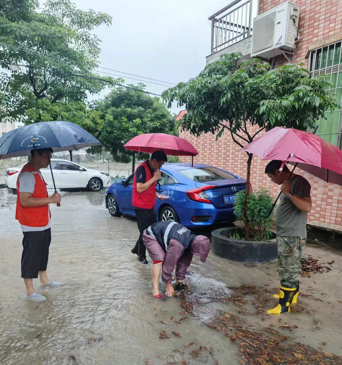“汛”速行動！倫教街道全力應對暴雨天氣