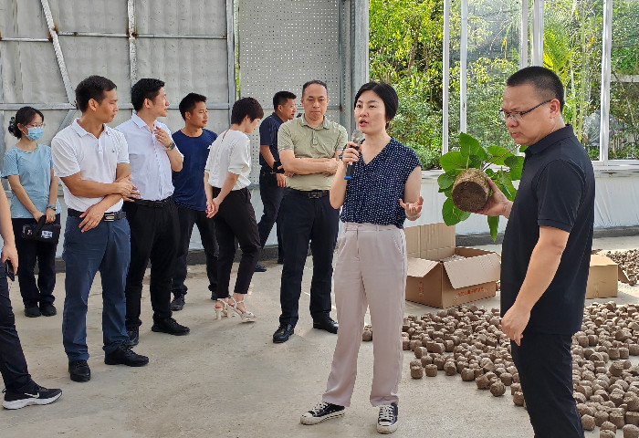 陳村：共謀共建綠美城鄉(xiāng)環(huán)境，以實干抓出成效