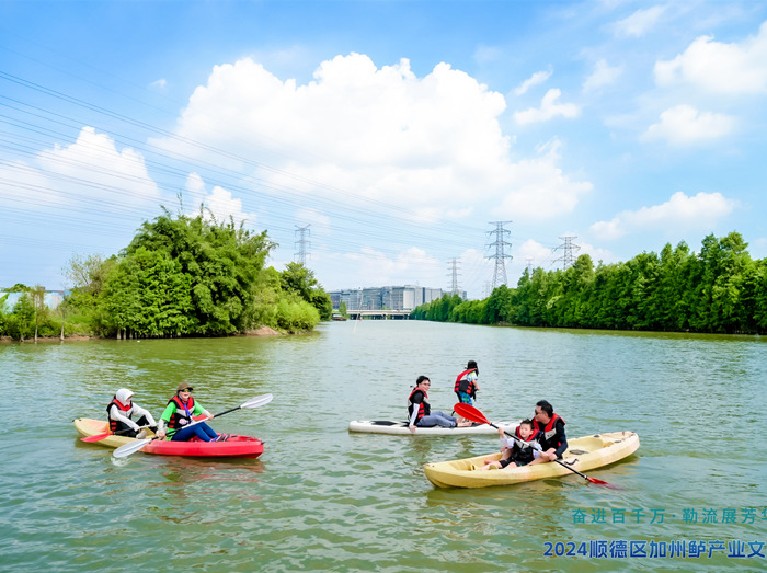 研學(xué)、美食、音樂(lè)節(jié)、水上運(yùn)動(dòng)……勒流江義加州鱸IP潮起來(lái)