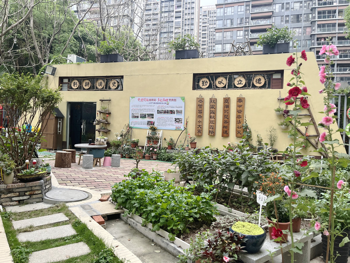 陳村2024“美麗庭院”公布，你中意哪一款？