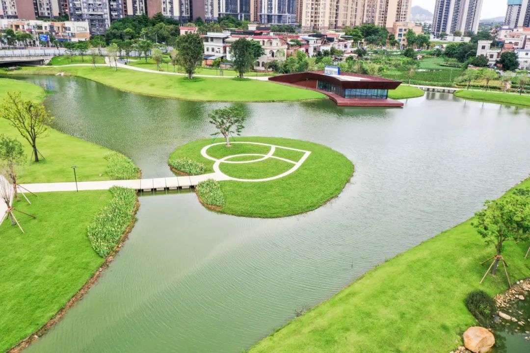 露營+悅讀+濕地研學(xué)，陳村新城南公園正式對外開放