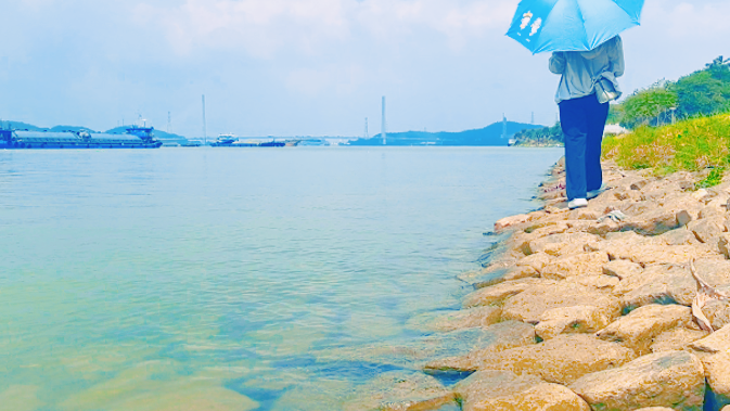 【視頻】這個秋天，我在均安海豚灣看“海”