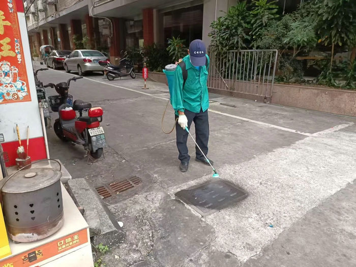 龍山：環境整治齊參與，美化家園沒“蚊”題