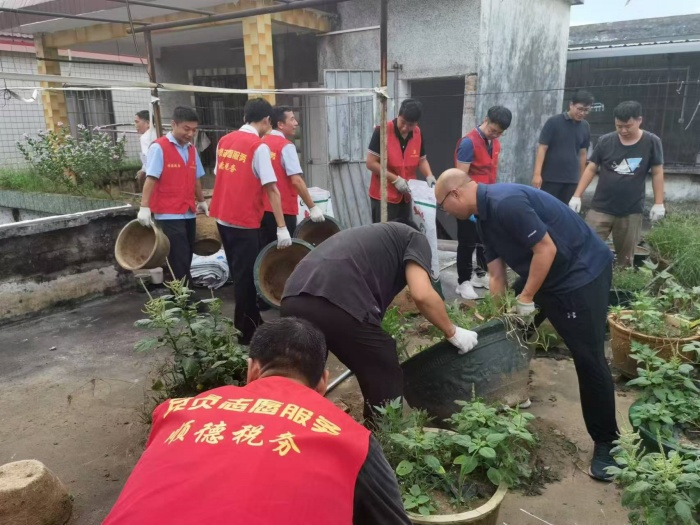 見縫插綠！均安社區(qū)“大黨委”讓家園更美