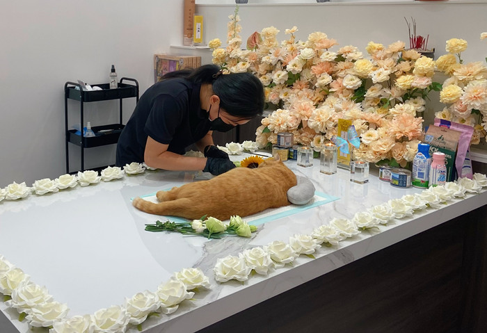 順德寵物告別師：學會好好說再見