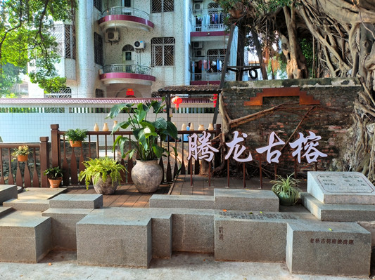 萬萬沒想到，200歲的祠堂可以這樣改造！？