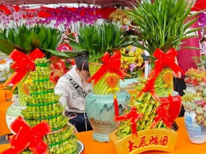 2025龍江鎮迎春花市即將開啟，驚喜活動等你來！