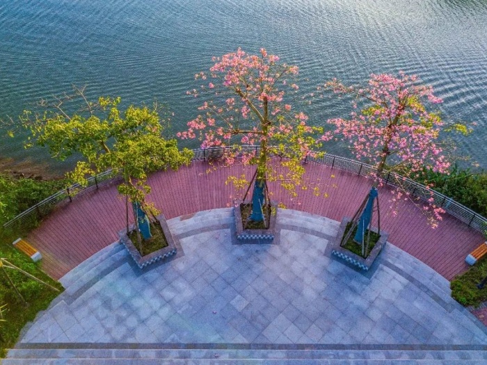 位居全市前列！水域安瀾，均安治水有妙招