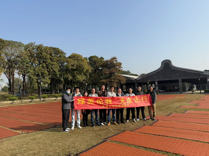 躬行踐履，為綠美倫教注入黨建力量