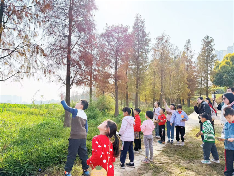 逛又美又旺的佛山新城，可觀可觸可感