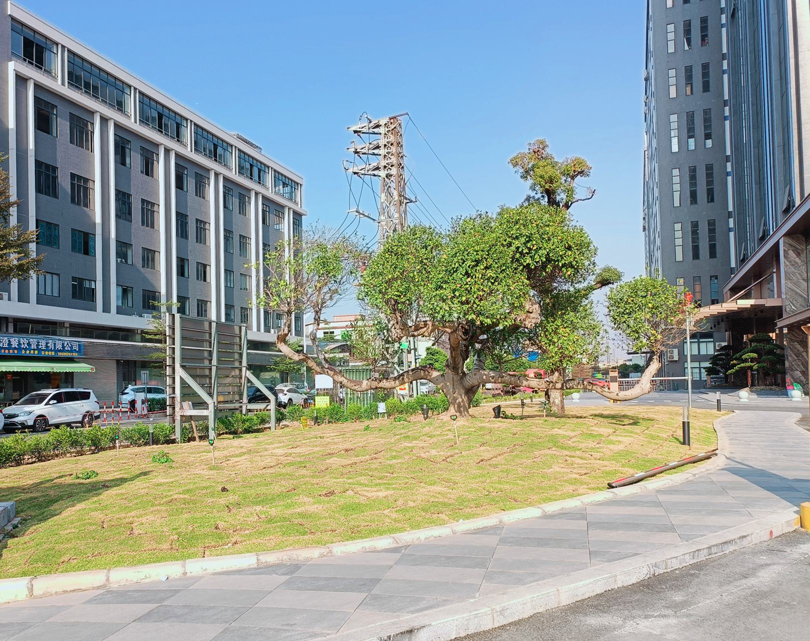 植綠增綠！杏壇開始打造“花園式企業”