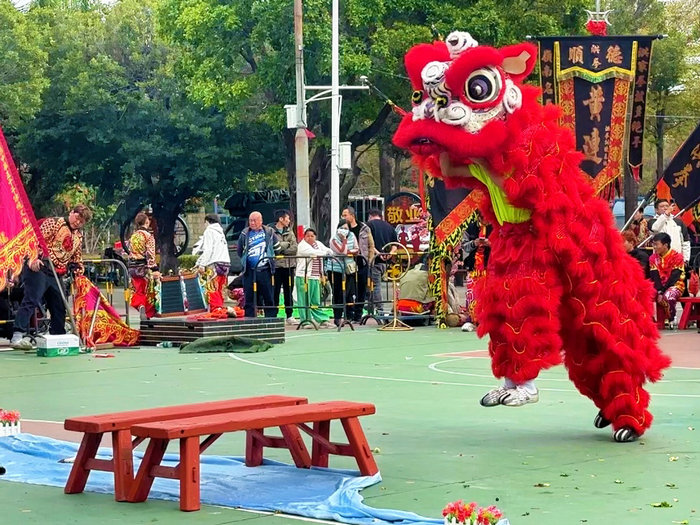 沉浸式看醒獅！倫教三洲鼓點沸騰賀新春→