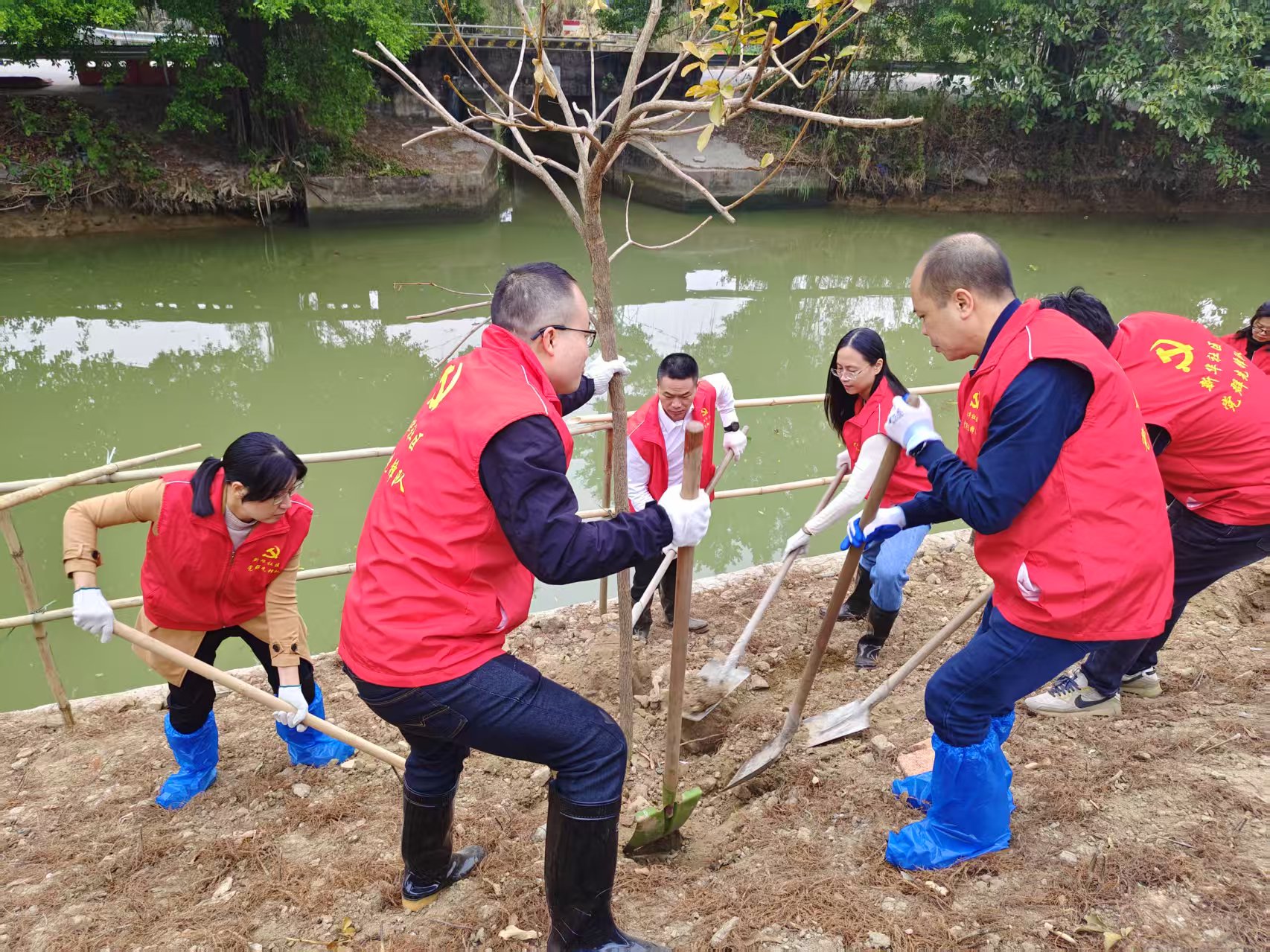 “綠美均安”再升級，多方共繪水清岸綠生態(tài)新畫卷