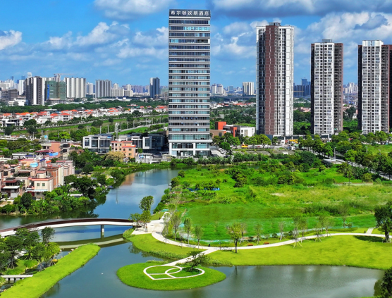 這十張圖，看陳村2025年工作重點！