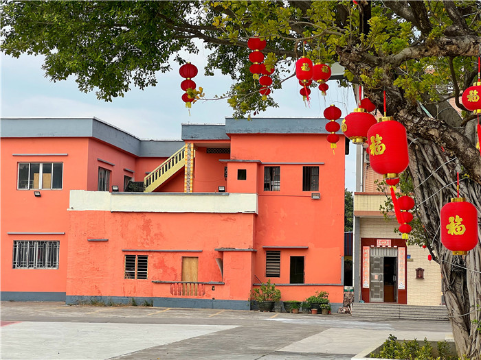 新年房子“上新”啦！均安農房改出民生大幸福
