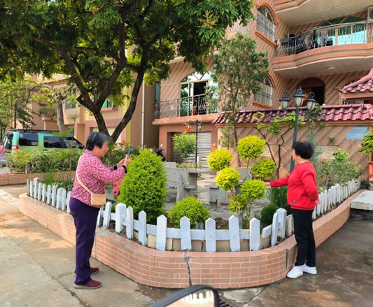 沙邊又變美了！“美街美戶”齊行動添新綠