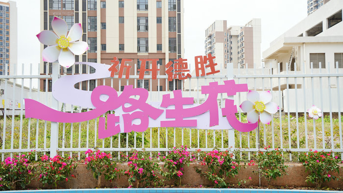 壹周順德：花開滿巷的“容桂風(fēng)景”