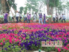 東湖公園開放首日添新綠