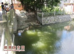 從死神手中搶人 用嘴吹出的生命奇跡