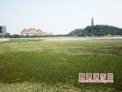 700畝青云湖干涸了？原來是放水“洗澡”