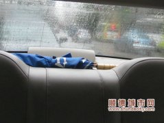 順德出租車有wifi？記者求證有意外發現