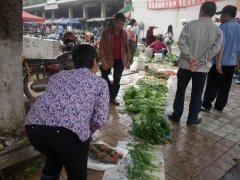 市場臨時擺賣，成創文的陣痛