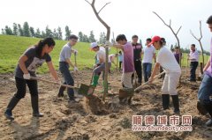 植樹32畝，北滘提升水道堤圍綠化