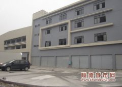 等到了，新觀光市場“十一”將正式開張！