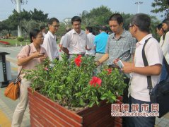 “歐洲小城鎮”順德開花，綠化專家齊感受