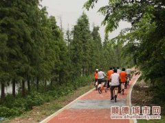 全民綠化，順德每年義務植樹80萬