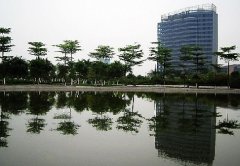 勒流眾涌信用社風姿靚影