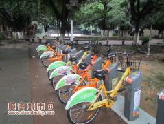 今年底，倫教將投入公共自行車320輛
