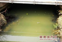 倫教今年將建三個村居污水處理站