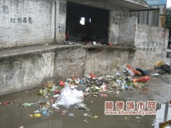 城市垃圾遍地“開花” 市民稱觸目驚心