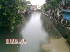 容桂：大雨沖不走河涌的黑和臭