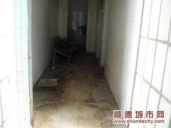 整治半年，仍有公廁被“遺忘”