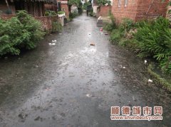 綠水不見了，順德河涌污染嚴重告急中！