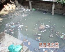 河涌漂“雪花”？垃圾重來繼續治理