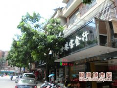 北滘：大樹茂盛難擋，商戶齊聲抱怨