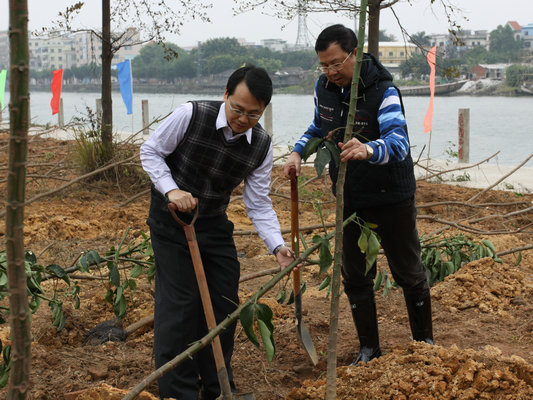 2250棵新樹(shù)苗植根均安 給力綠色家園建設(shè)