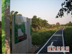 大良騎車北滘還，全區公共自行車有望通借通還