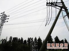 霞石、烏洲先后出現(xiàn)低壓線被盜