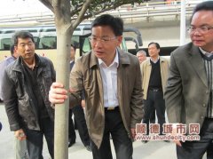 黃喜忠為綠化樹量“腰圍”