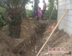 明天違法，還私自給道路“開膛”