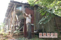 容桂：解磚卸瓦 農民自拆違法搭建窩棚