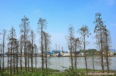 【勒流風景】勒流現代工業縮影