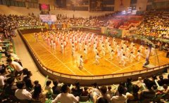 老人太極扇表演助慶陳村體育節(jié)開幕式