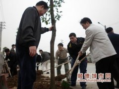 社會齊參與，為龍沖路添綠