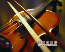 靜心聽聽，500選手順德演繹小提琴魅力